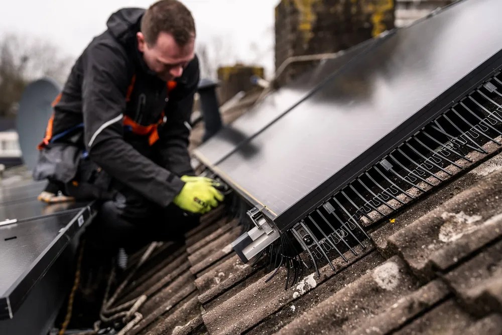 Tecnico che installa BirdBlocker su pannelli solari residenziali